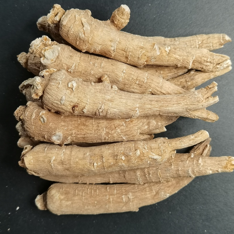 文登西洋参统货批发青岛威海日照看货方便