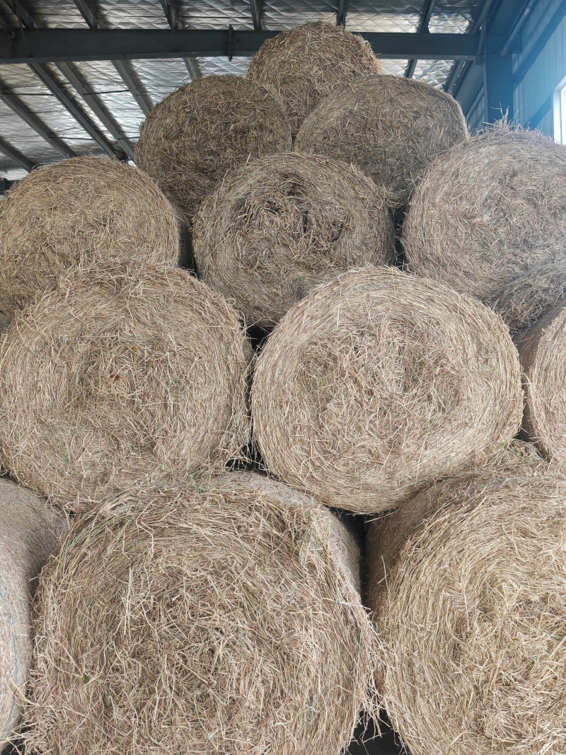 稻草大量供应厂家直发没有中间商赚差价质量保证全国发货