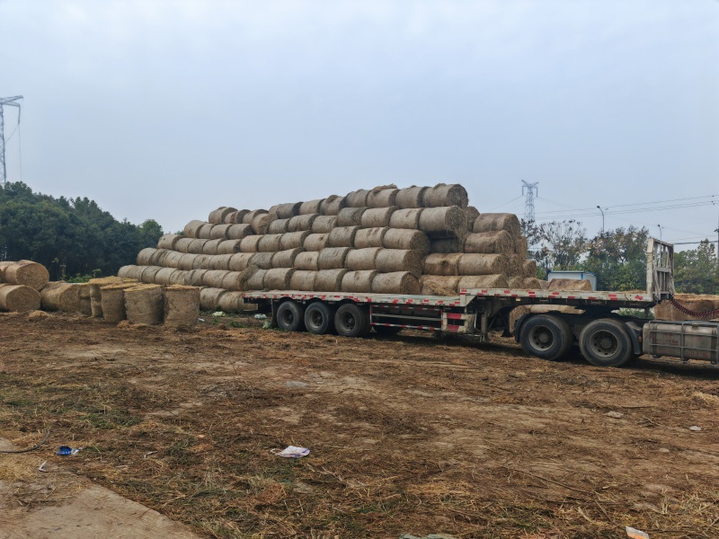 稻草大量供应厂家直发没有中间商赚差价质量保证全国发货