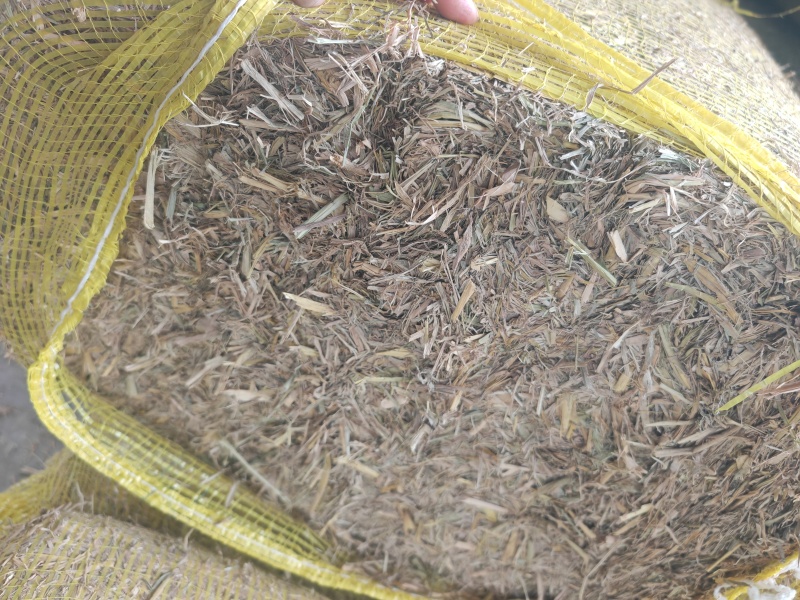 稻草大量供应厂家直发没有中间商赚差价质量保证全国发货