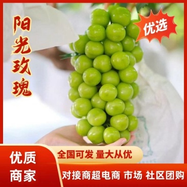 阳光玫瑰皮薄肉厚粒大无核圆润饱满香甜多汁质量保证