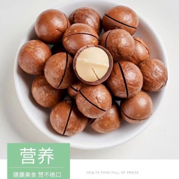 夏威夷果电商货一件代发大货供应