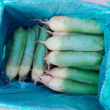 冰翡翠水果萝卜