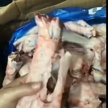 大羊拐筋