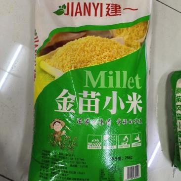 建一金苗小米批发一件代发贴牌代加工集采落地配