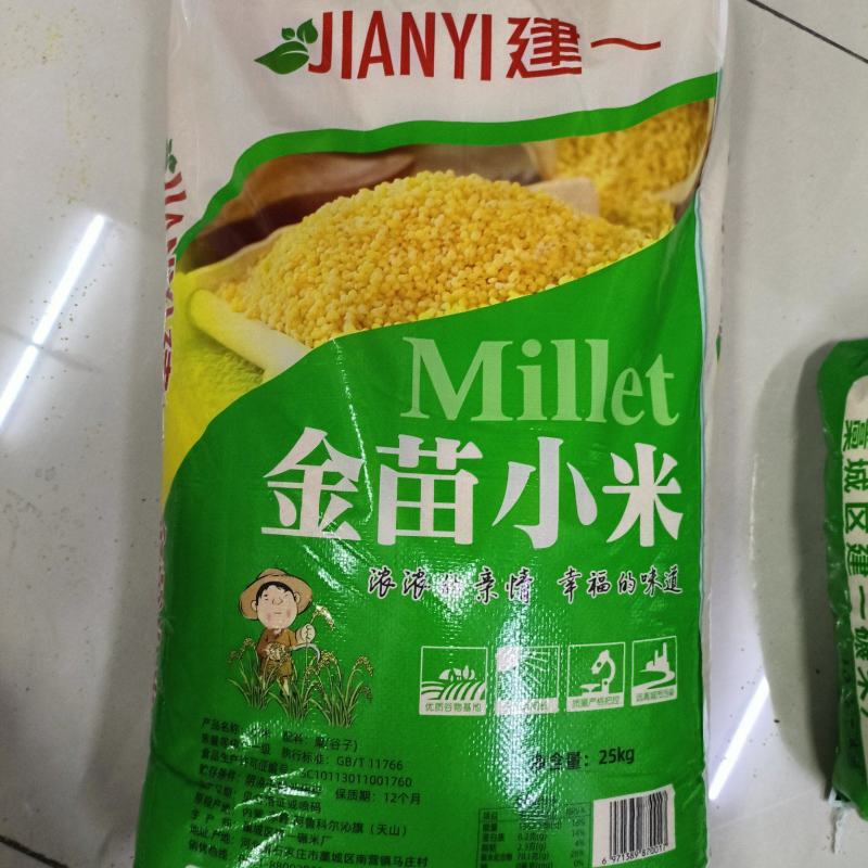 建一金苗小米批发一件代发贴牌代加工集采落地配