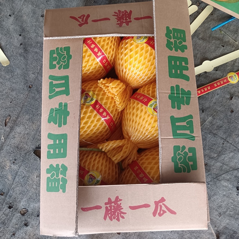 海南精品凤金6号，大量上市承接大中小商超团购及档口等业务