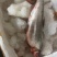 翘嘴白鱼鱼肉鲜嫩现货提前两天预定安排规格齐全