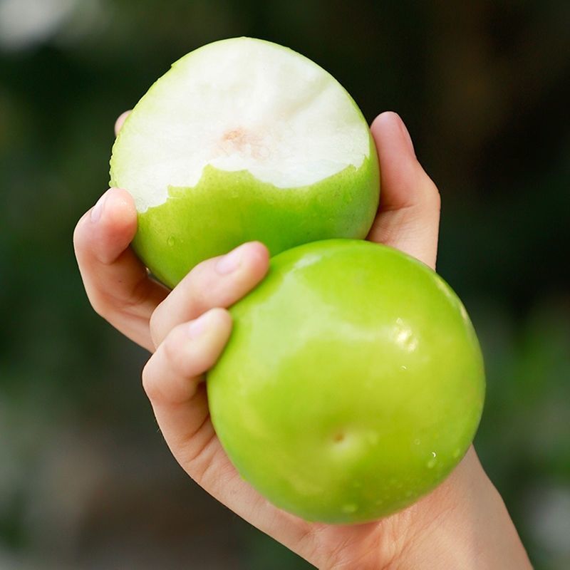 【代发】正宗云南牛奶大青枣脆甜水果新鲜应季贵妃蜜枣冬枣苹果枣