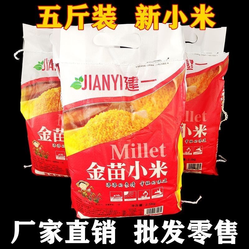 建一金苗小米批发一件代发贴牌代加工集采落地配