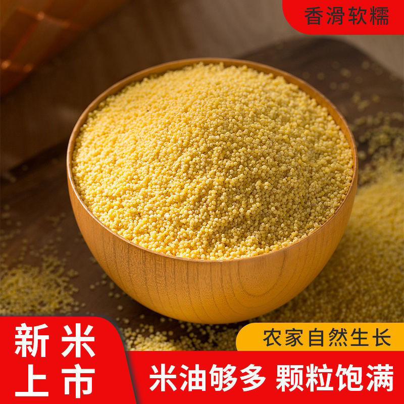 建一金苗小米批发一件代发贴牌代加工集采落地配