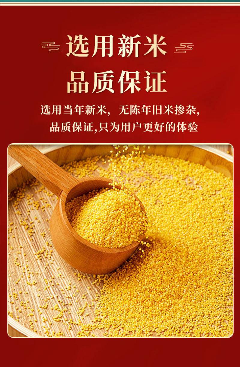 建一金苗小米批发一件代发贴牌代加工集采落地配