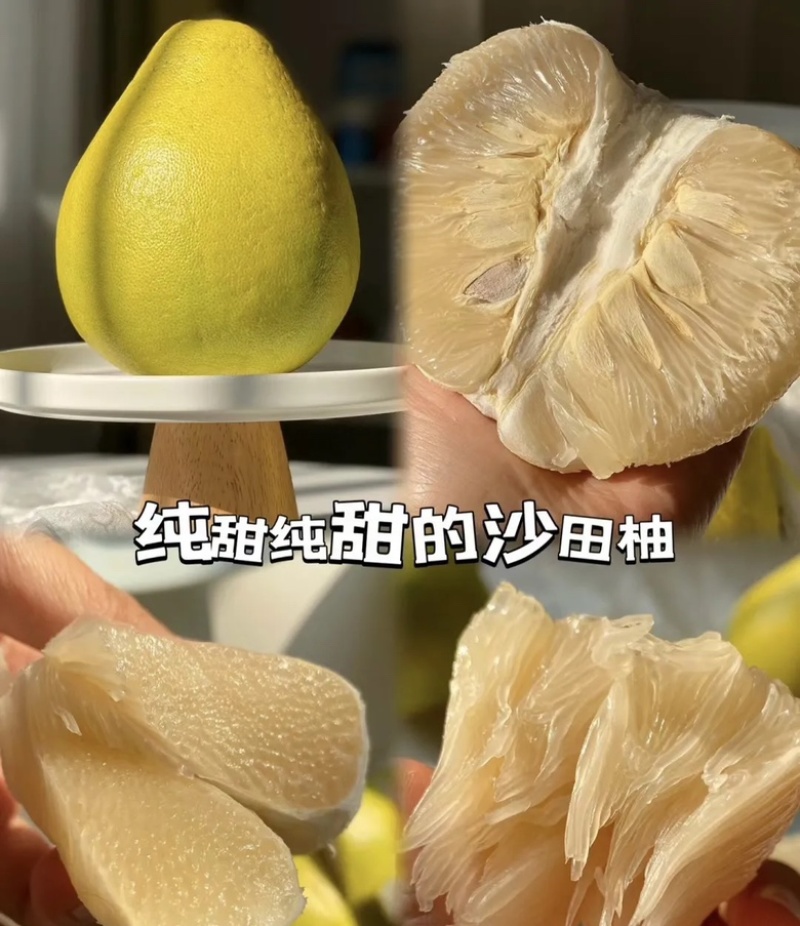 湖南沙田柚大量供应商超市场电商需要的电联常年代收