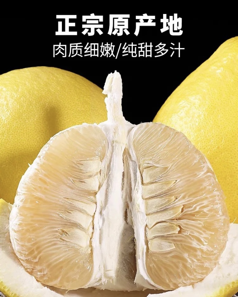湖南沙田柚大量供应商超市场电商需要的电联常年代收