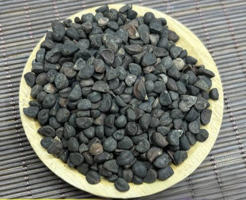 牵牛子白丑黑丑药用二丑常年供应各种中药材