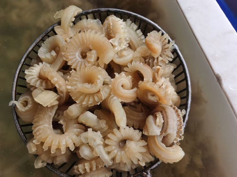 牛鞭花火锅食材开袋即涮牛鞭花边角火锅串串麻辣烫