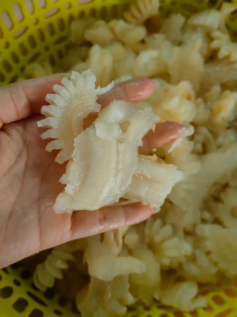 牛鞭花火锅食材开袋即涮牛鞭花边角火锅串串麻辣烫