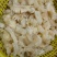 牛鞭花火锅食材开袋即涮牛鞭花边角火锅串串麻辣烫