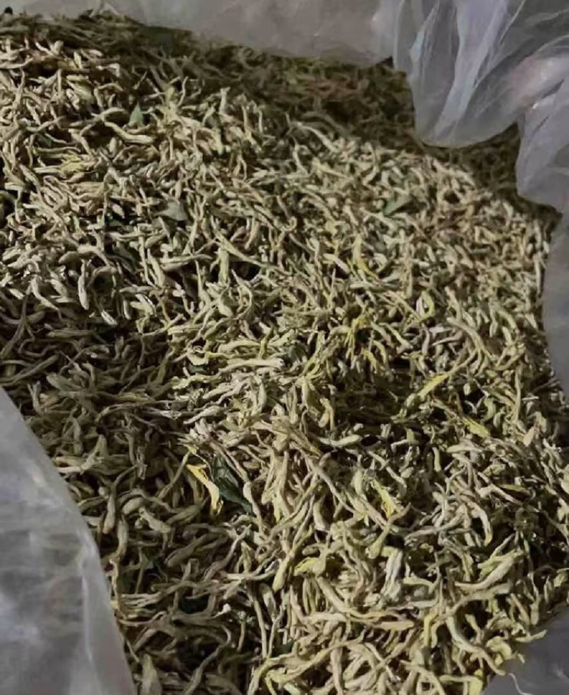 金银花北花一号种植大户产地直销价优欢迎各大老板采购