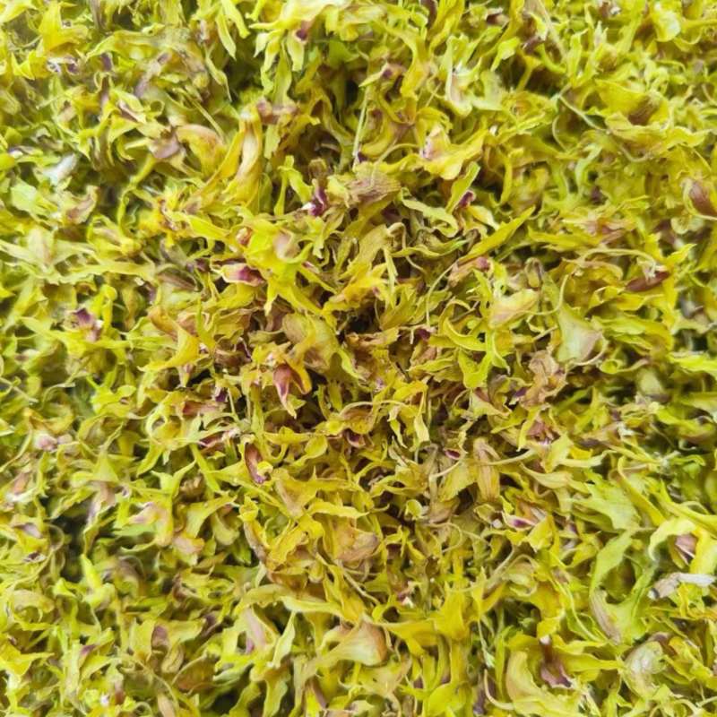 石斛花批发基地直发铁皮石斛花一手货源支持视频看货