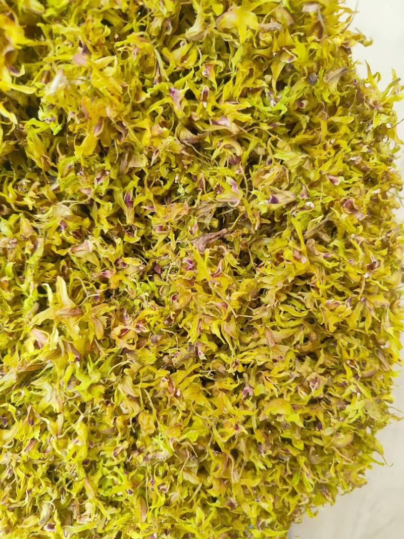 石斛花批发基地直发铁皮石斛花一手货源支持视频看货