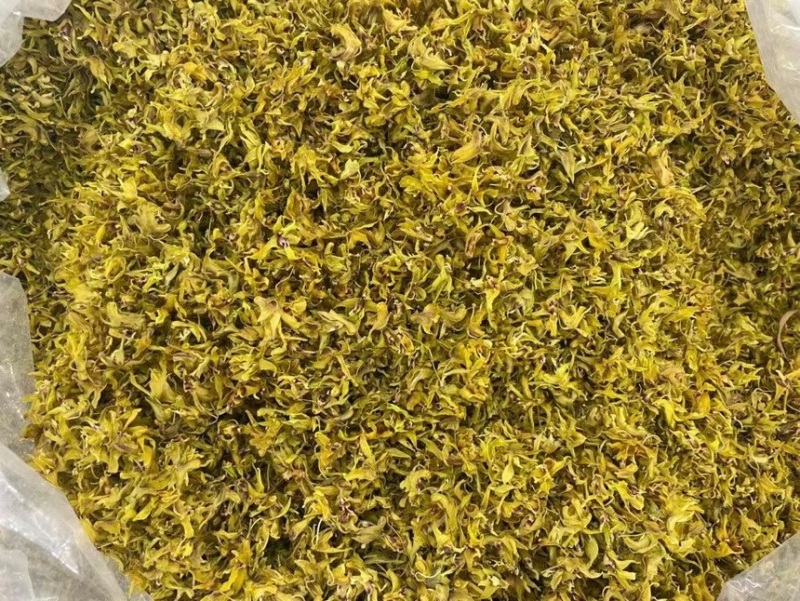 石斛花批发基地直发铁皮石斛花一手货源支持视频看货