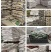 薄荷种子厂家货源批发价格全国发货价格便宜欢迎下单咨询