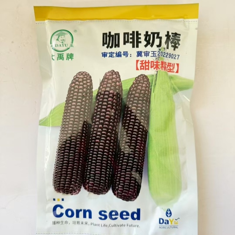 黑甜糯玉米种子咖啡奶棒甜味糯玉米种子