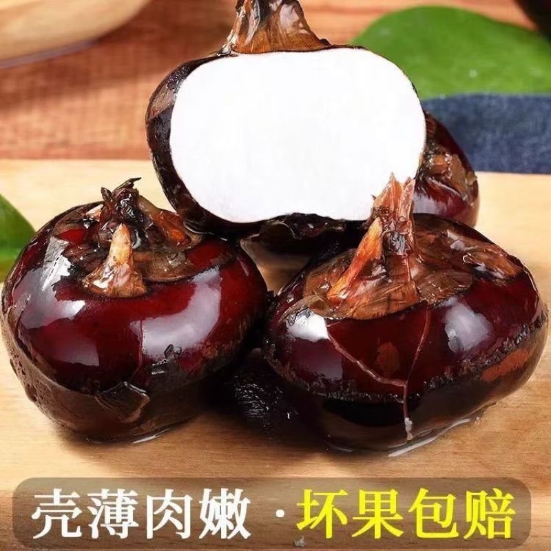 新鲜正宗实惠荸荠马蹄地栗水果特大现挖特产农家蔬菜马蹄脆甜
