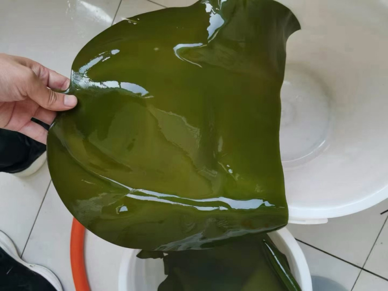 深海半干海带头，品质保证