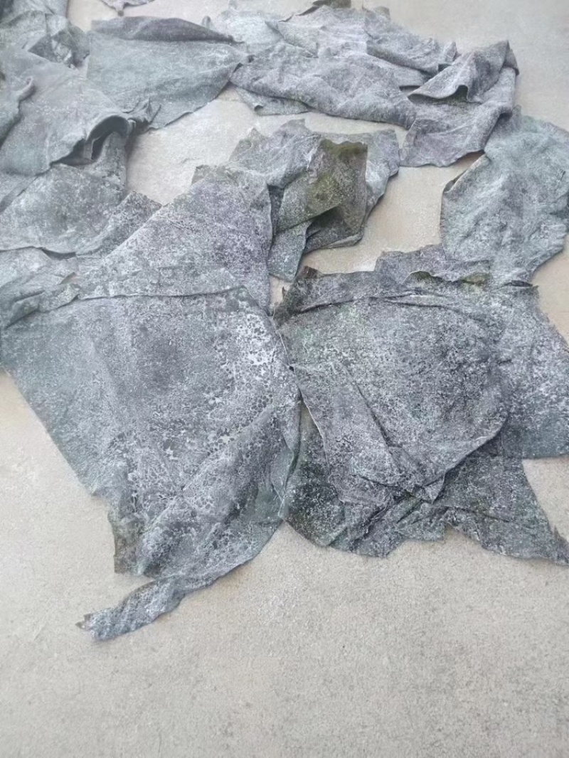 深海半干海带头，品质保证
