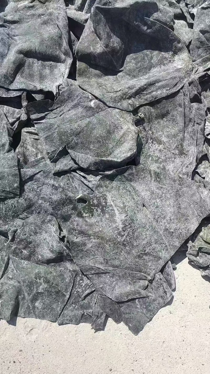 深海半干海带头，品质保证