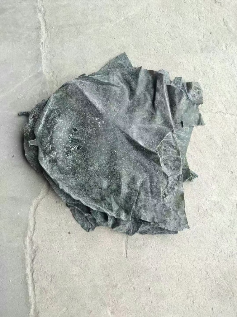 深海半干海带头，品质保证