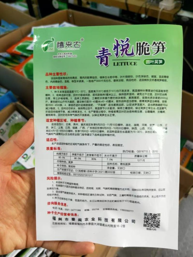 圆叶莴笋种子耐寒青皮青肉香味浓郁晚秋及冬春栽培蔬菜种子