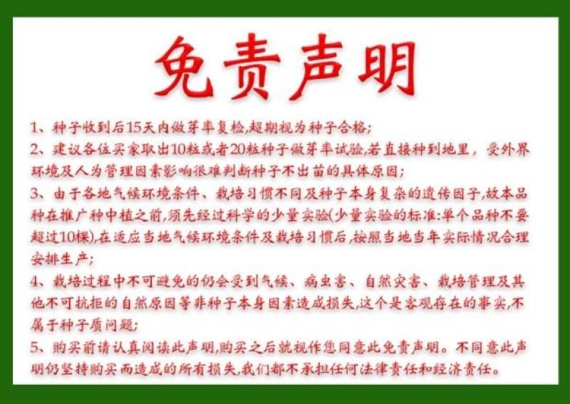 圆叶莴笋种子耐寒青皮青肉香味浓郁晚秋及冬春栽培蔬菜种子