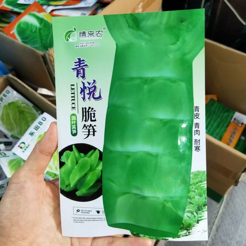 圆叶莴笋种子耐寒青皮青肉香味浓郁晚秋及冬春栽培蔬菜种子