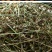 白花蛇舌草产地直发整卷批发色青顺草扎把