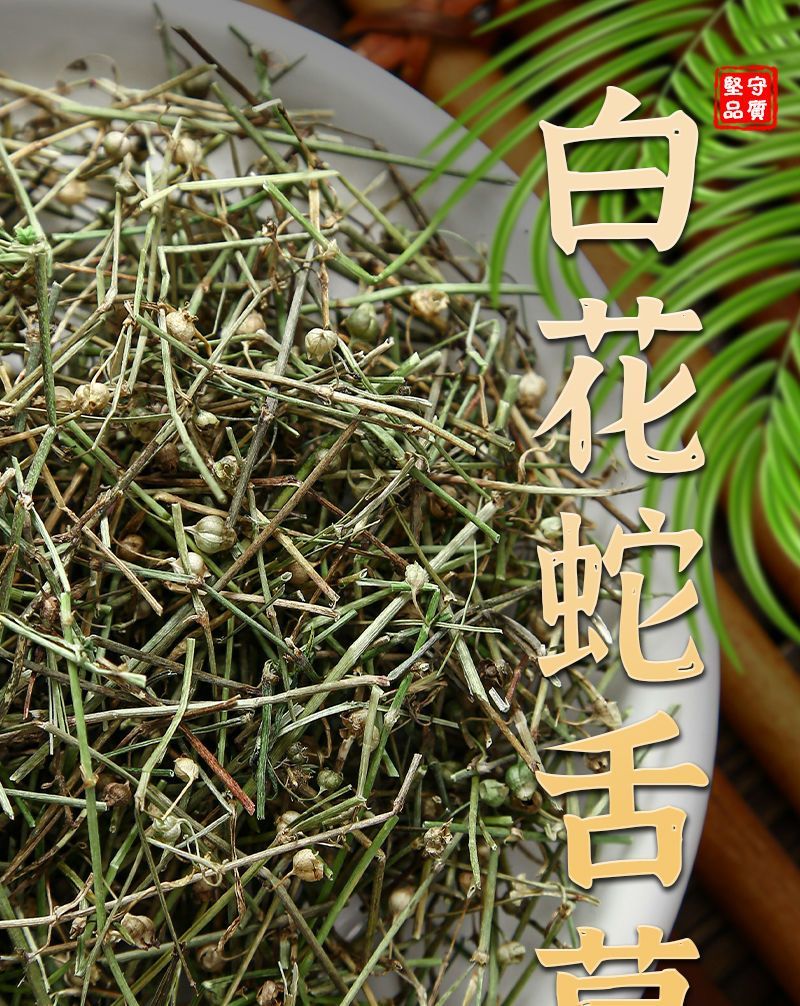 白花蛇舌草产地直发整卷批发色青顺草扎把