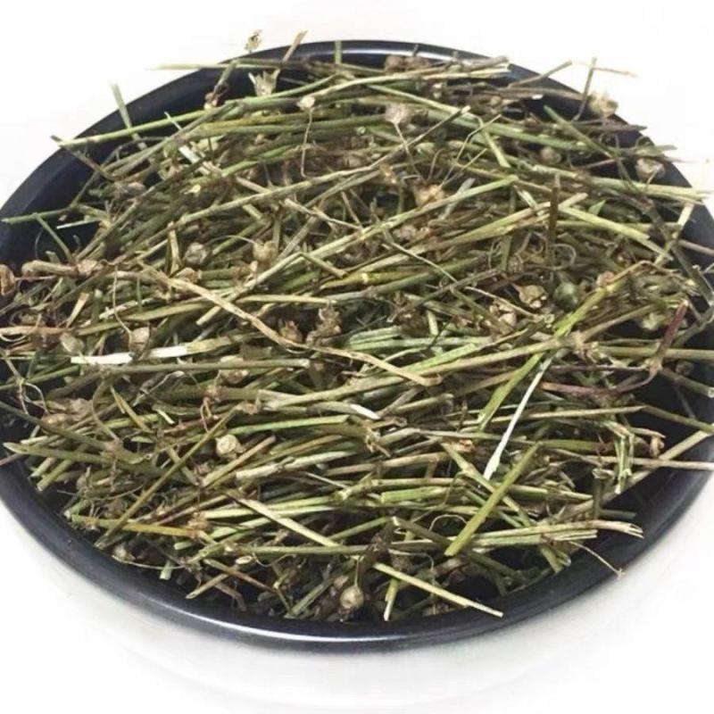 白花蛇舌草产地直发整卷批发色青顺草扎把