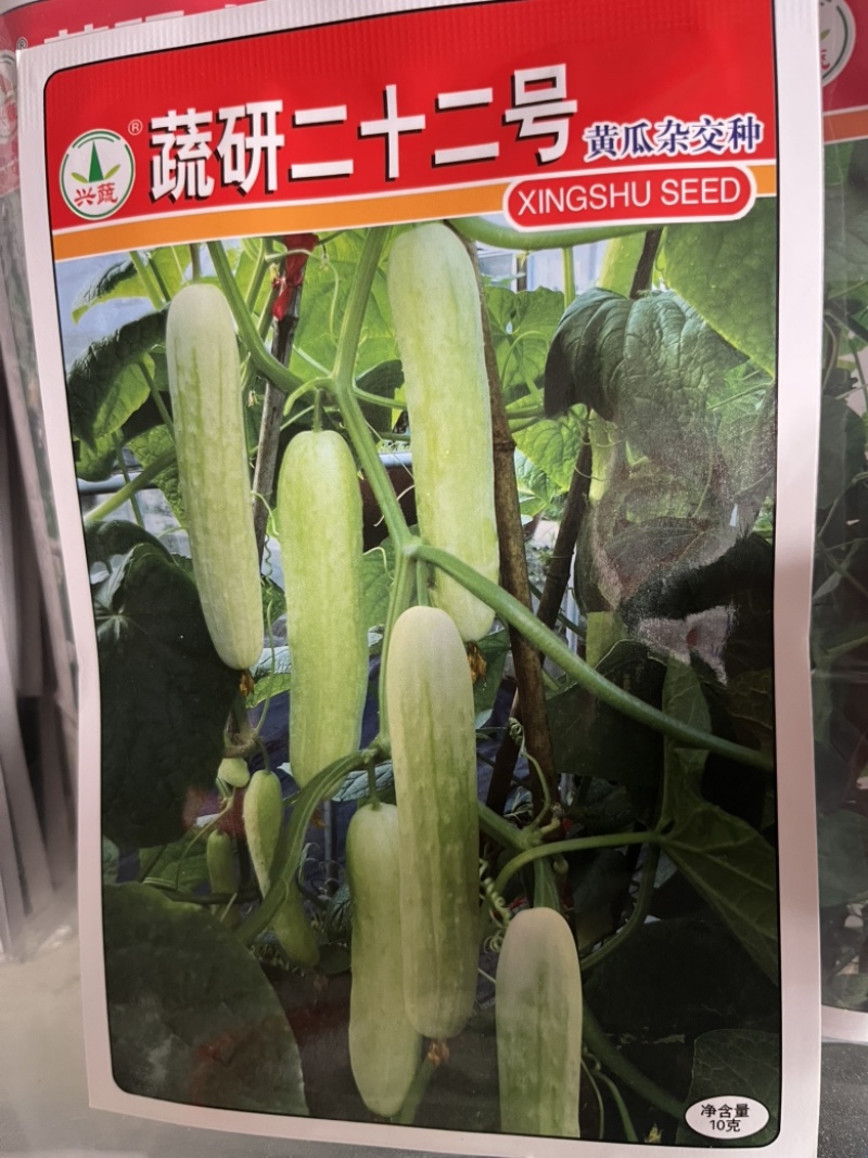 疏研二十二号白皮黄瓜杂交种子