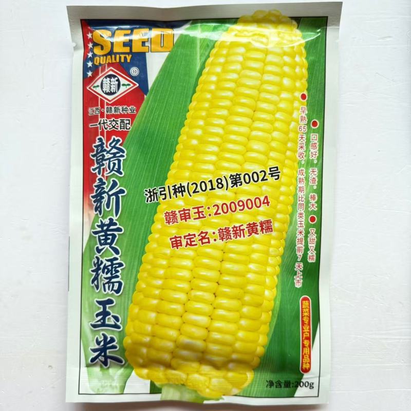 赣新黄糯玉米种子籽早熟大棒型好吃无渣黄糯玉米种籽甜糯玉
