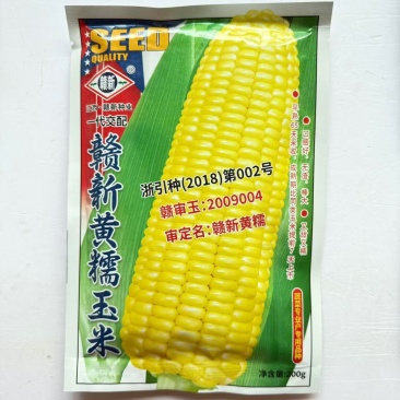赣新黄糯玉米种子籽早熟大棒型好吃无渣黄糯玉米种籽甜糯玉