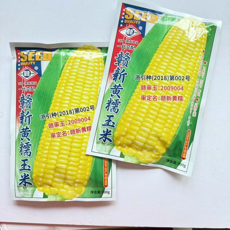 赣新黄糯玉米种子籽早熟大棒型好吃无渣黄糯玉米种籽甜糯玉