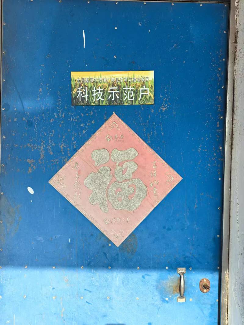 江苏灰鲢大量上市自家渔塘全国发货价格实惠