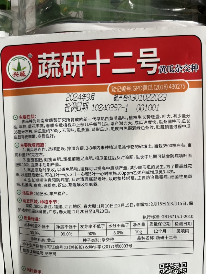 疏研十二号黄瓜杂交一代高产抗病