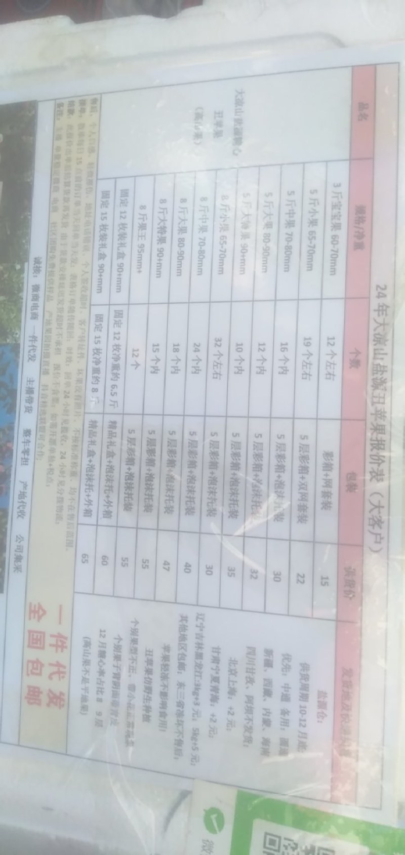 宁蒗糖心苹果