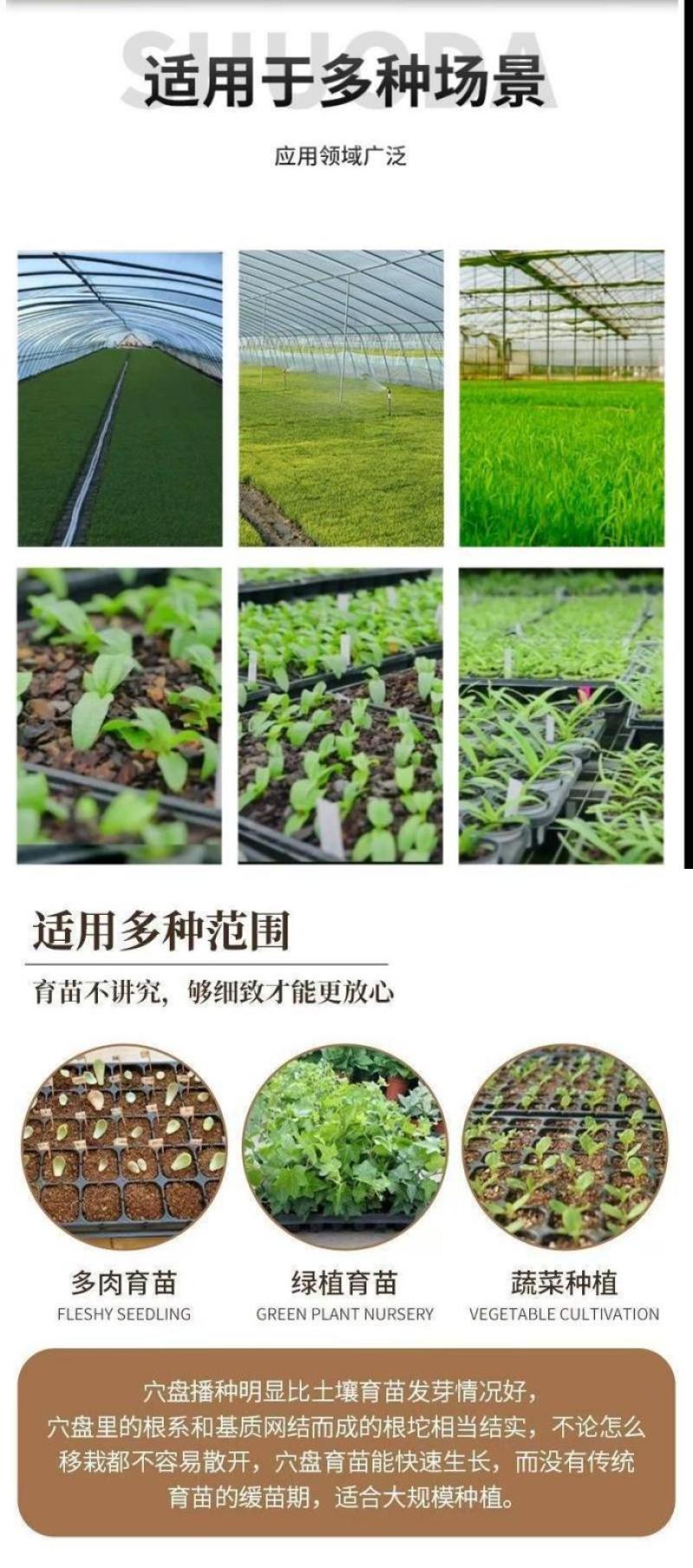 70g育苗穴盘21孔-200孔各种规格可选厂家直销穴盘