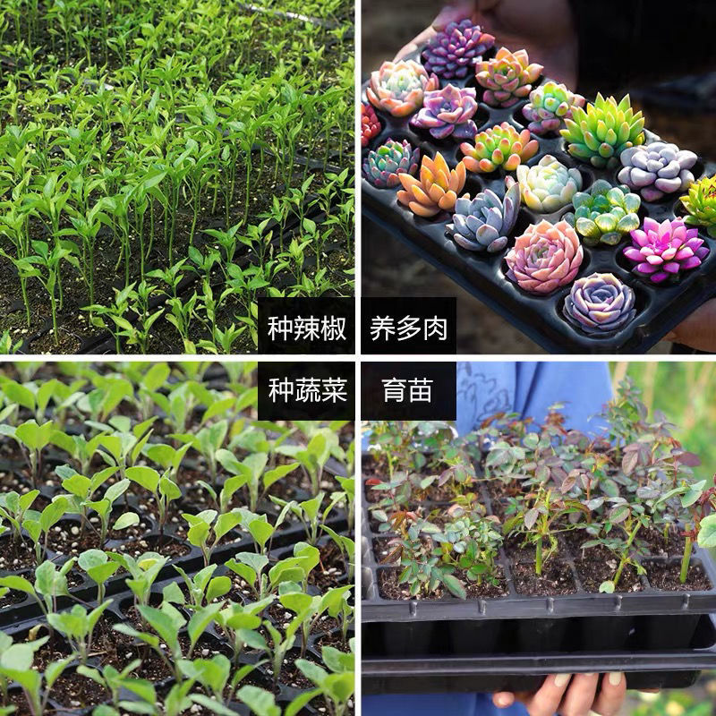 70g育苗穴盘21孔-200孔各种规格可选厂家直销穴盘