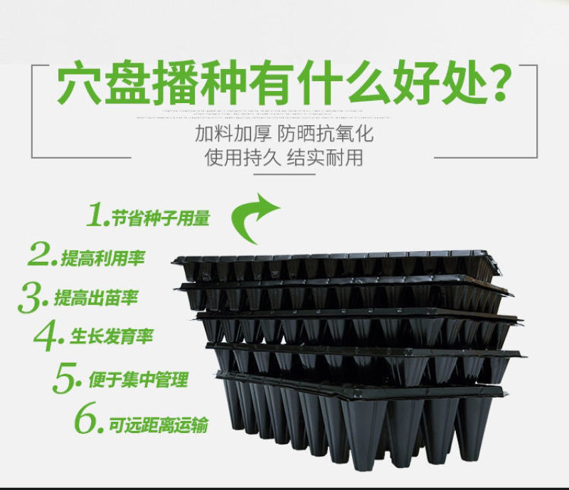 70g育苗穴盘21孔-200孔各种规格可选厂家直销穴盘
