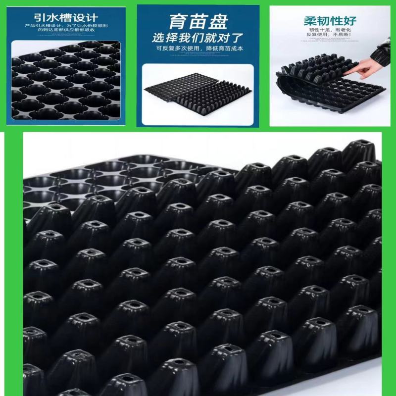 70g育苗穴盘21孔-200孔各种规格可选厂家直销穴盘